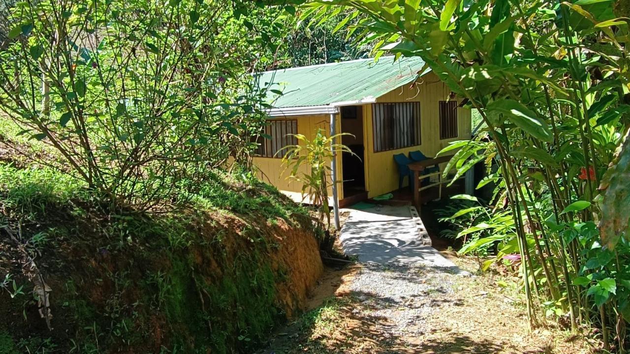 Cabanas Tico Gringo Драке Экстерьер фото
