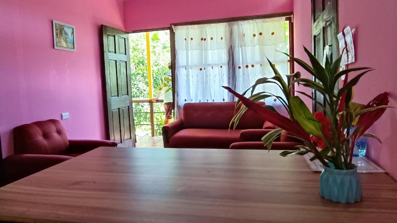 Cabanas Tico Gringo Драке Экстерьер фото