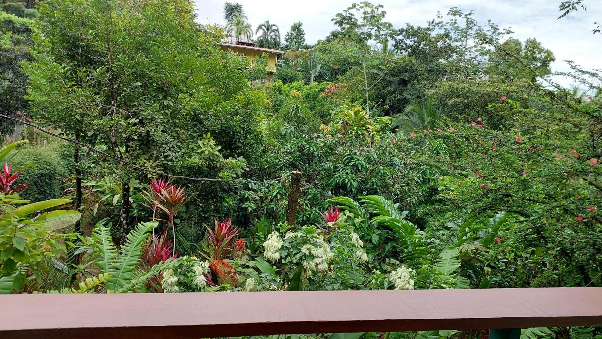 Cabanas Tico Gringo Драке Экстерьер фото